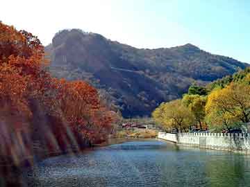 管家婆黑白马报图库，傲虎油耗